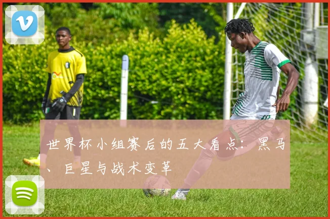 世界杯小组赛后的五大看点：黑马、巨星与战术变革