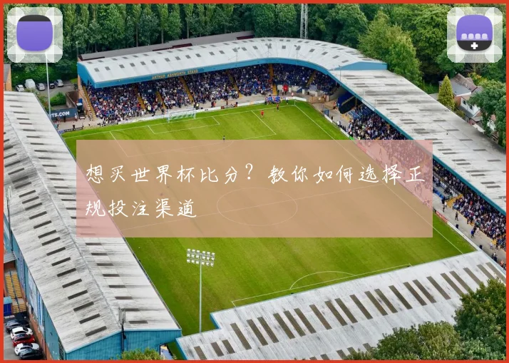 想买世界杯比分？教你如何选择正规投注渠道