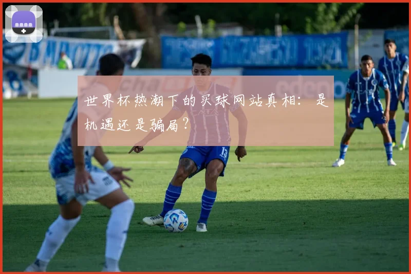 世界杯热潮下的买球网站真相：是机遇还是骗局？