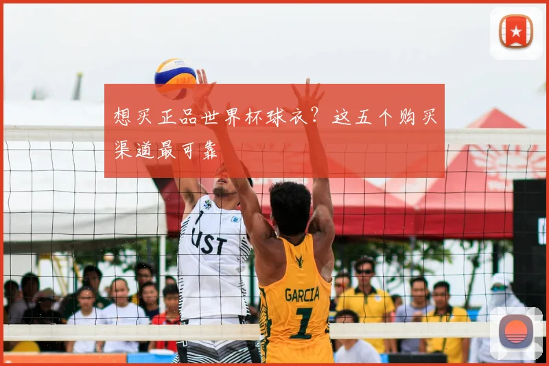 想买正品世界杯球衣？这五个购买渠道最可靠